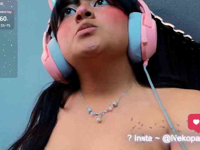 Nekopan webcam
