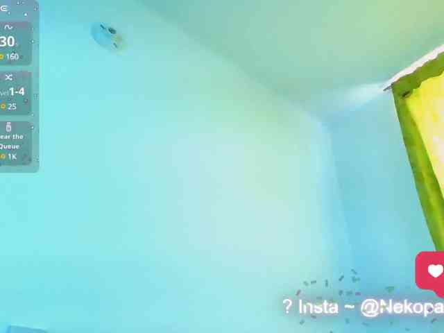 Nekopan webcam