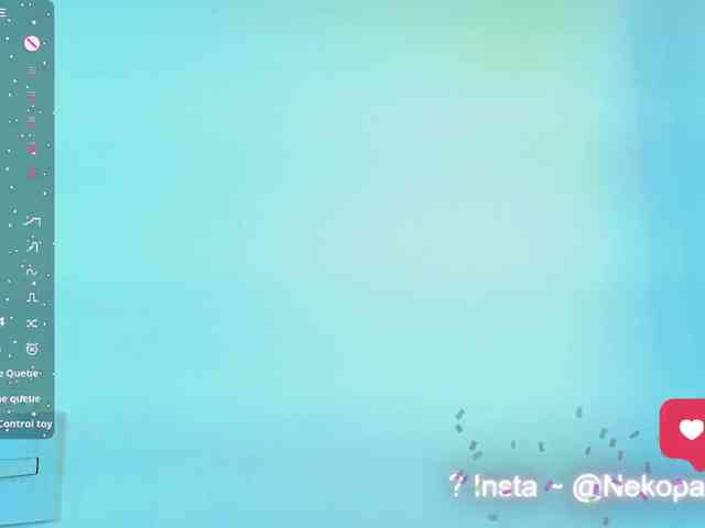 Nekopan webcam