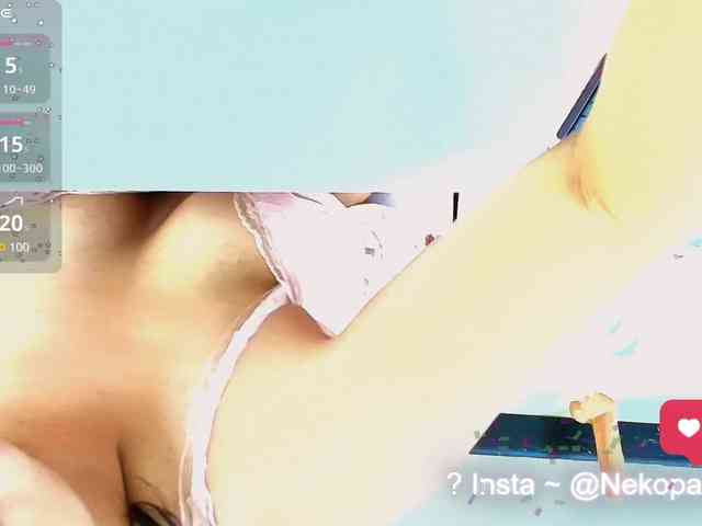 Nekopan Live Webcam on BongaCams