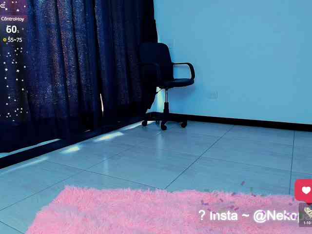 Nekopan webcam