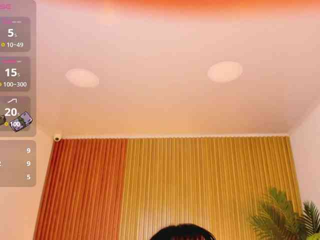 zaii- webcam