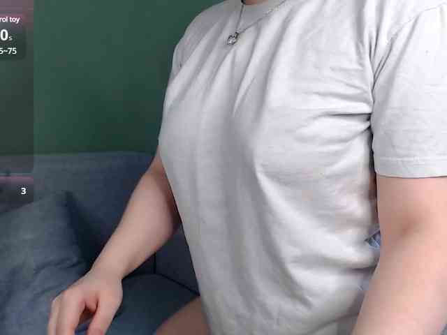 Lyine webcam