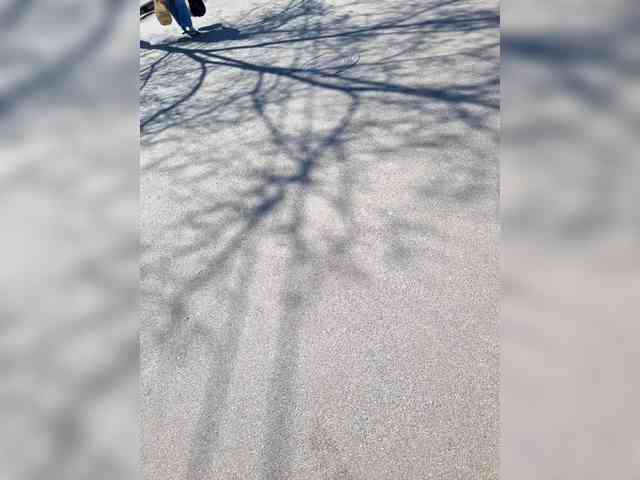 SweetCoople SweetCoople