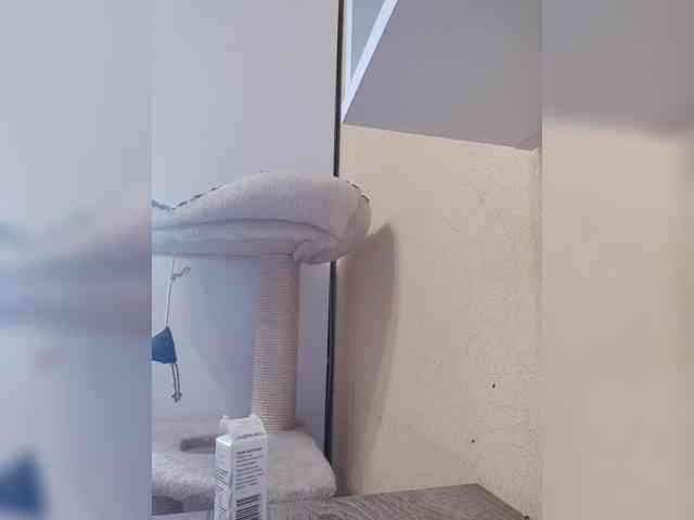 Alinkay webcam