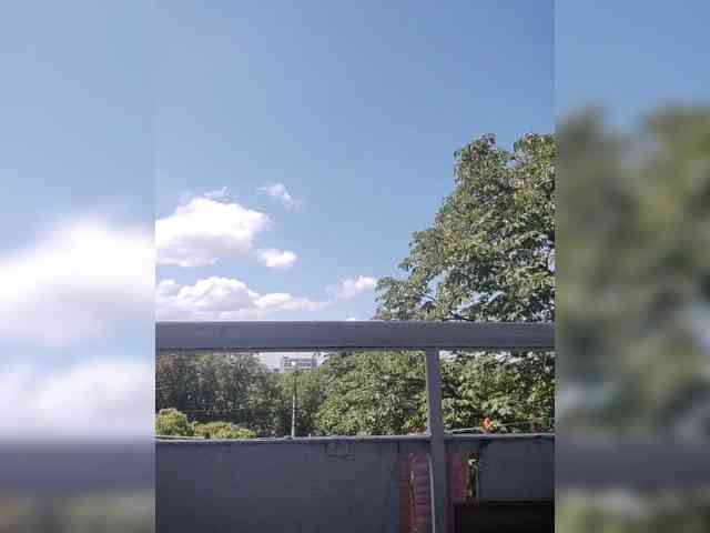 Alinkay webcam