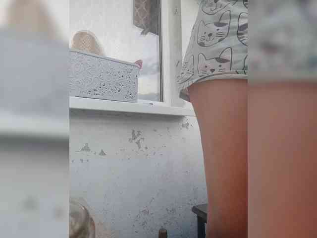 Alinkay webcam