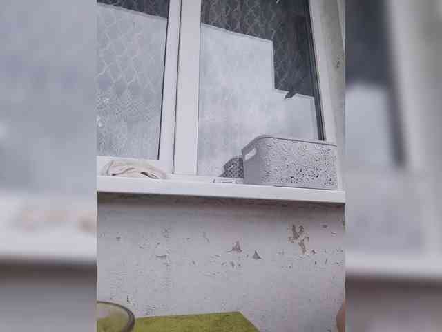 Alinkay webcam