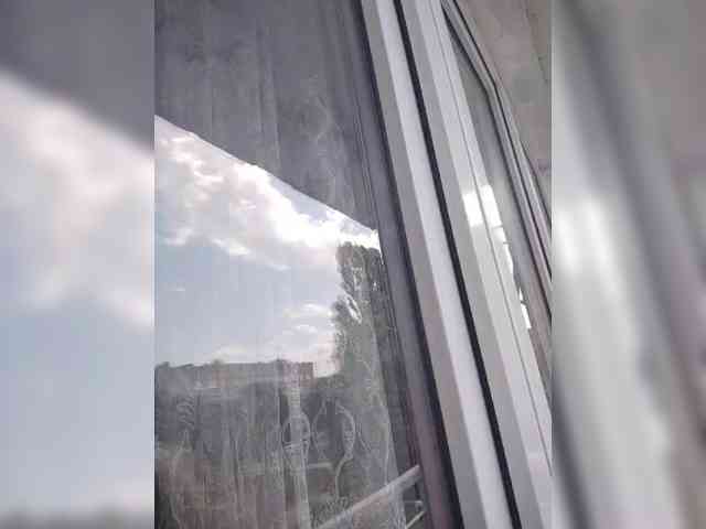 Alinkay webcam