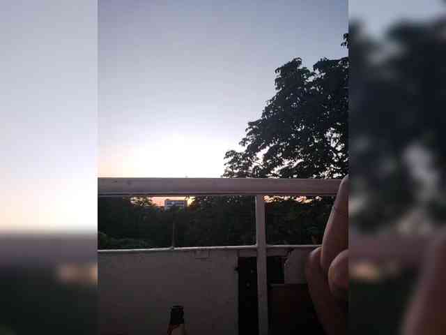 Alinkay webcam