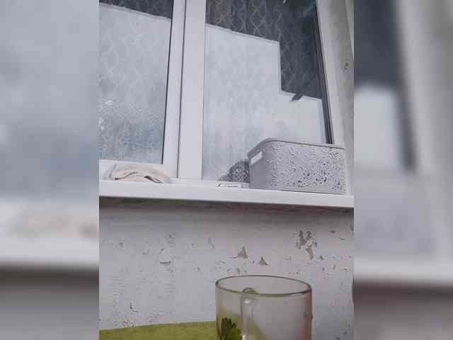 Alinkay webcam
