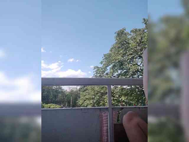 Alinkay webcam