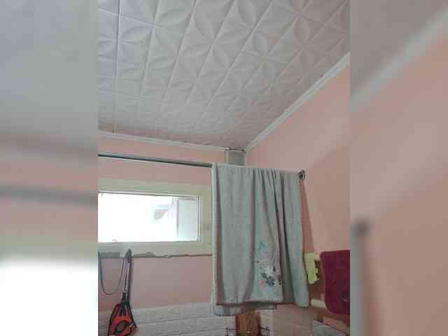 Alinkay webcam