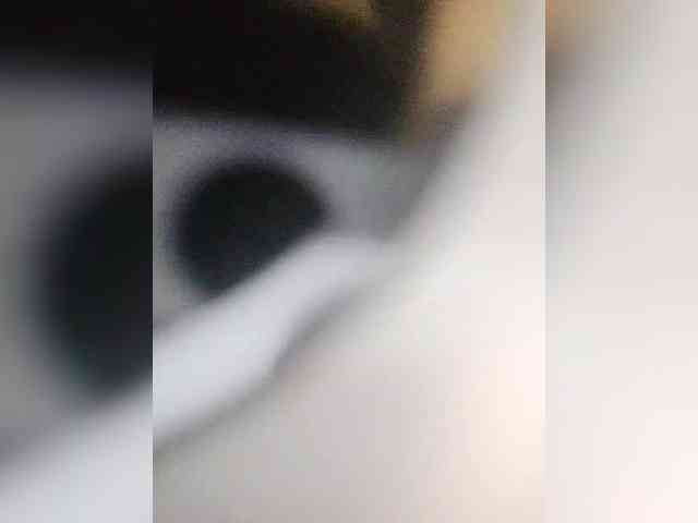 Alinkay webcam