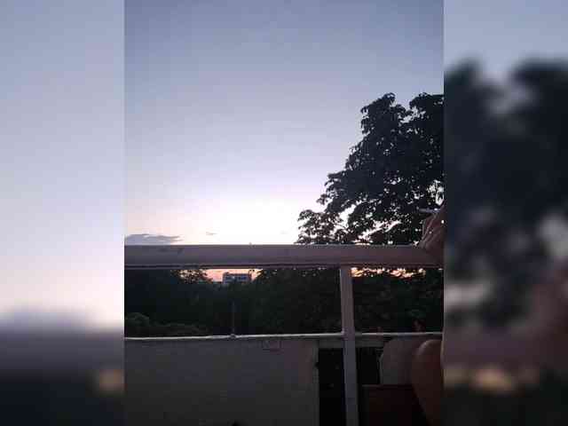 Alinkay webcam