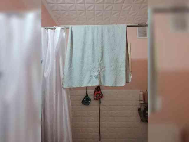 Alinkay webcam