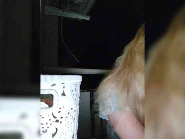 Alinkay webcam