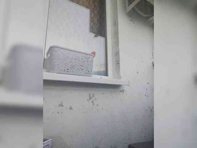 Alinkay webcam