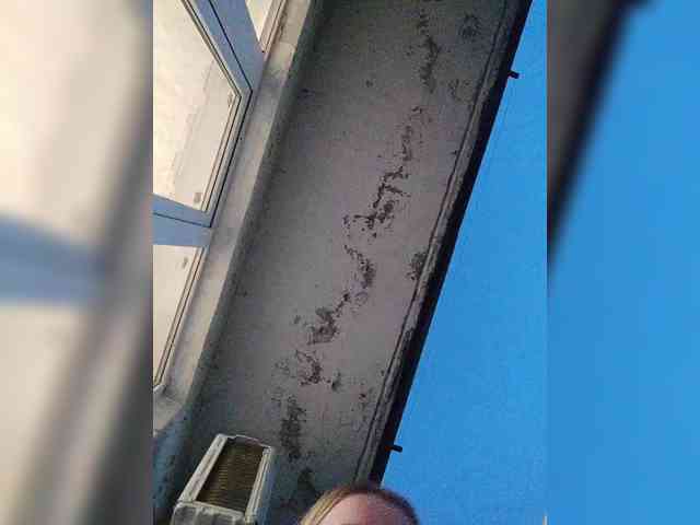 Alinkay webcam
