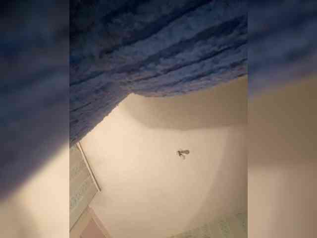 PypsIk-4 webcam