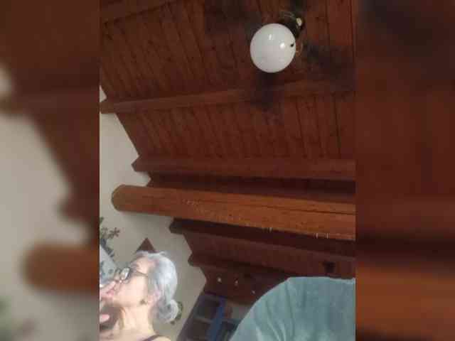 Simoedavi webcam