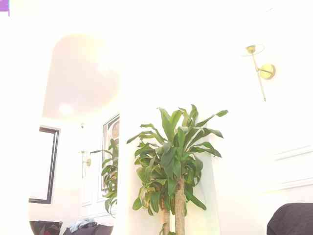 Daisy-Price webcam