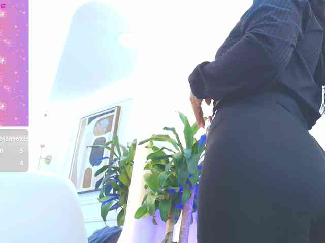 Daisy-Price webcam
