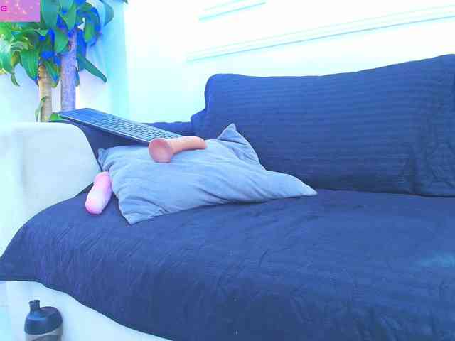 Daisy-Price webcam