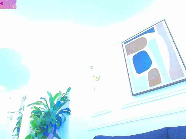 Daisy-Price webcam