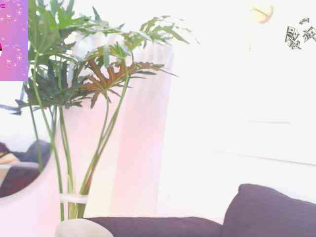 Daisy-Price Daisy-Price