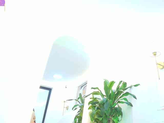 Daisy-Price webcam