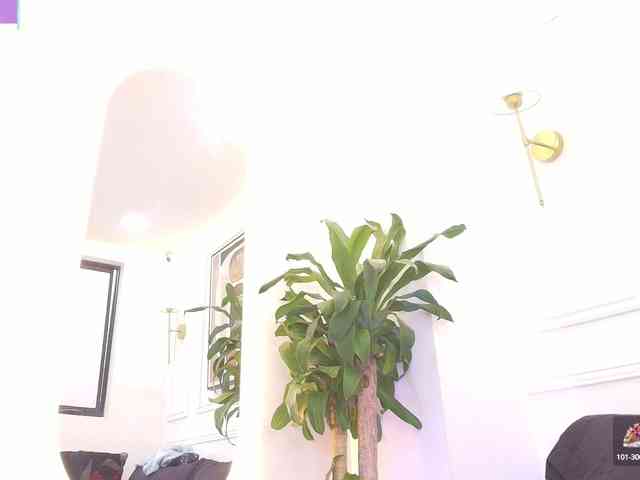 Daisy-Price webcam