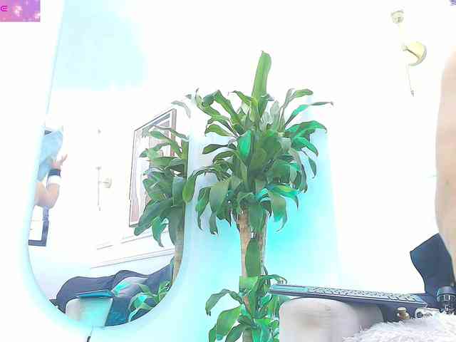 Daisy-Price Daisy-Price