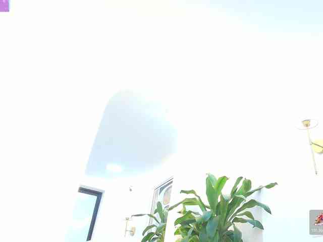 Daisy-Price webcam