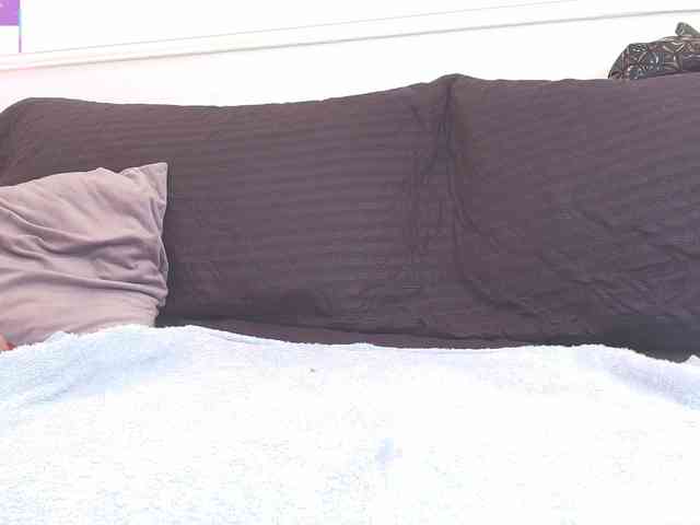 Daisy-Price webcam