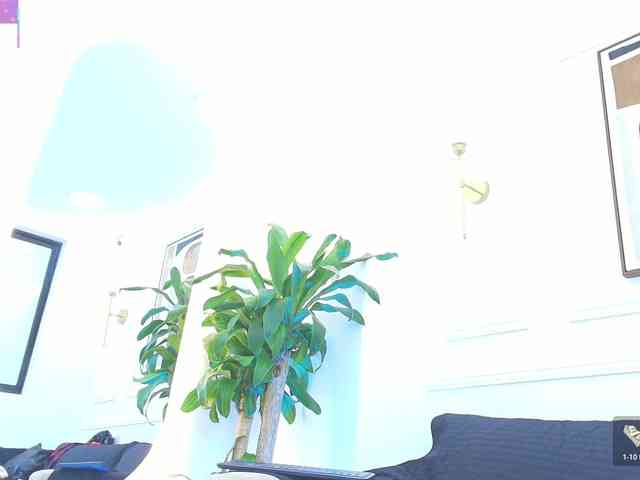 Daisy-Price webcam