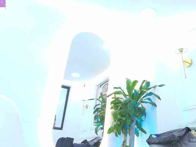Daisy-Price webcam