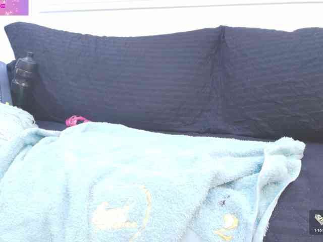 Daisy-Price Daisy-Price