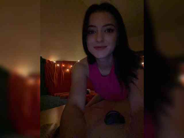 Asiaq webcam