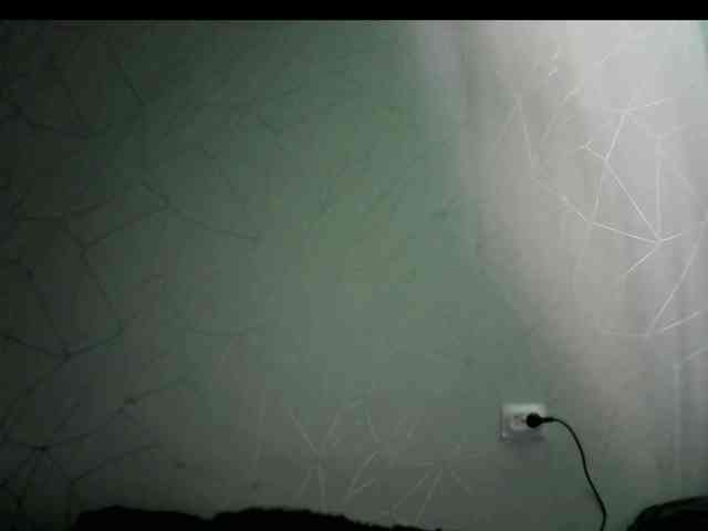 Sinner-5 webcam