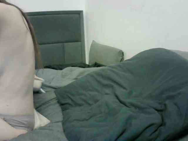Sinner-5 webcam