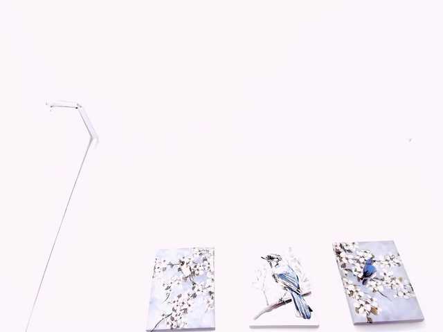 VeroMendoza's BongaCams show and profile