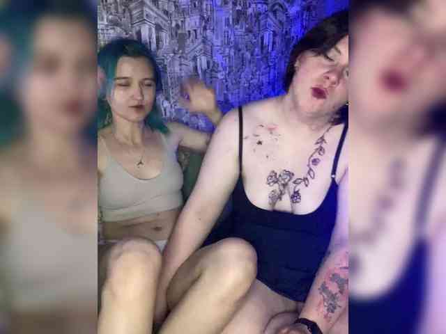 huskyhosi webcam