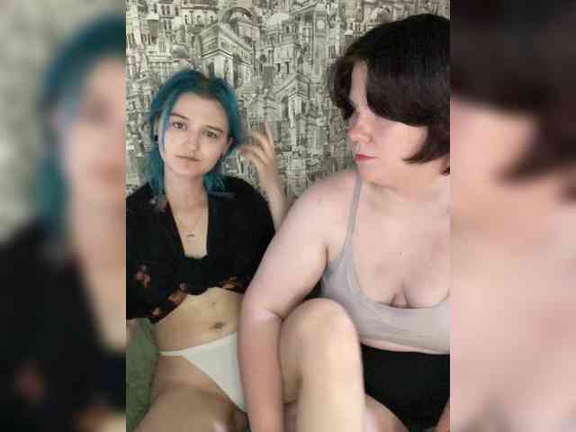 huskyhosi webcam