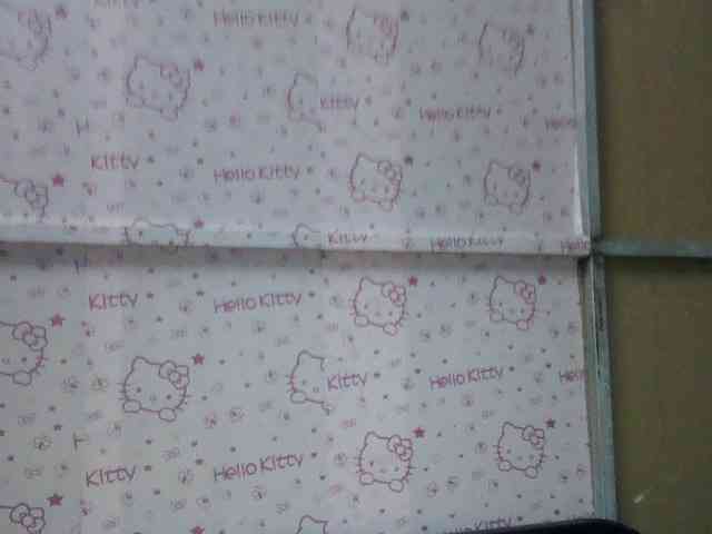 Strawberry18 webcam
