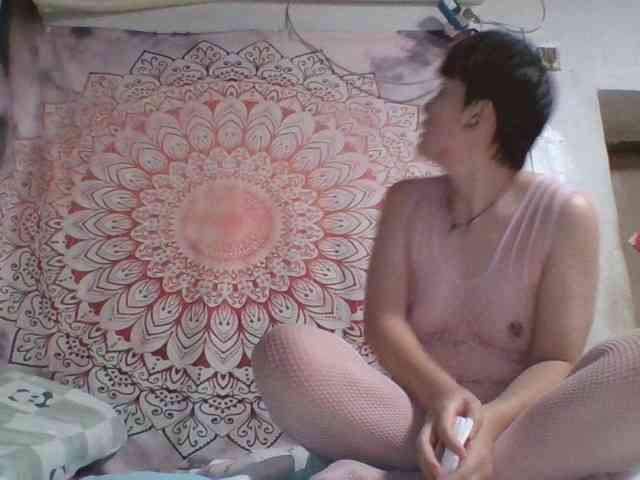Sily2025 webcam
