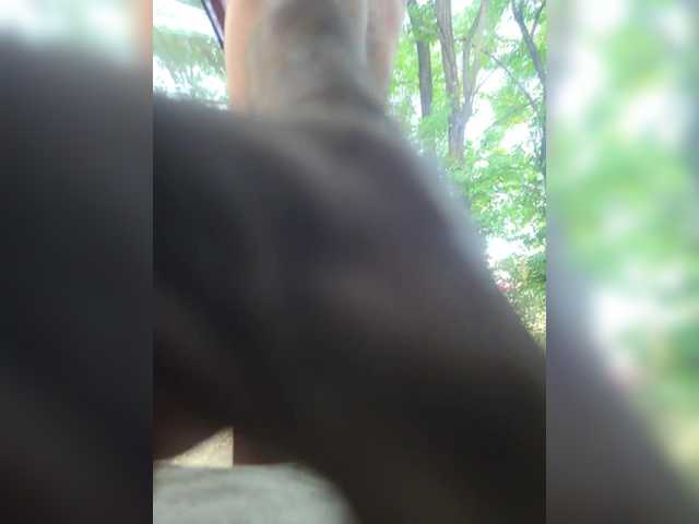 ANDRUSHELL