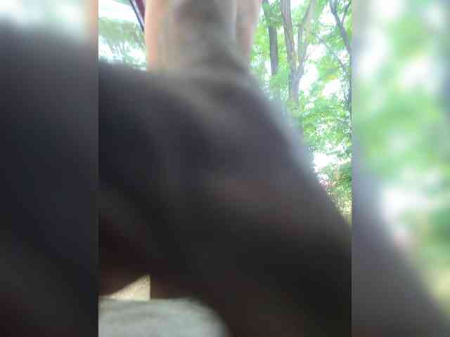 ANDRUSHELL