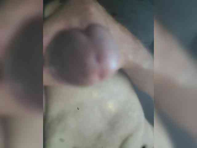 ANDRUSHELL