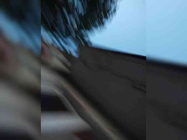 LinaMaks webcam